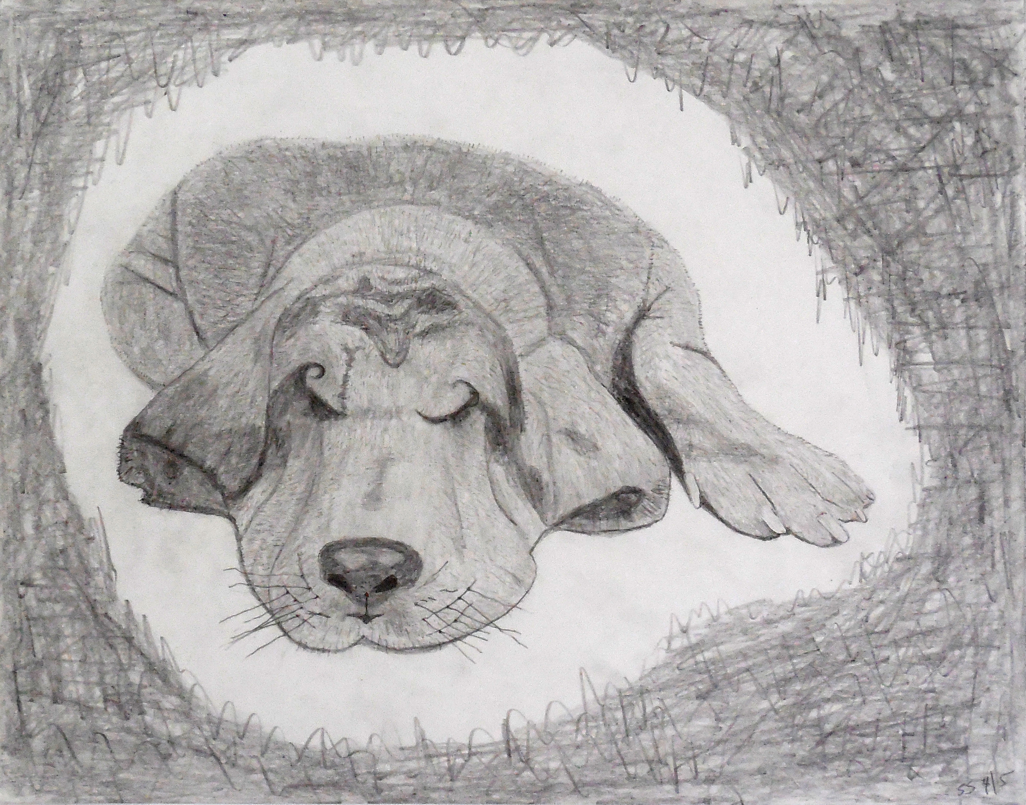 Hound Dog