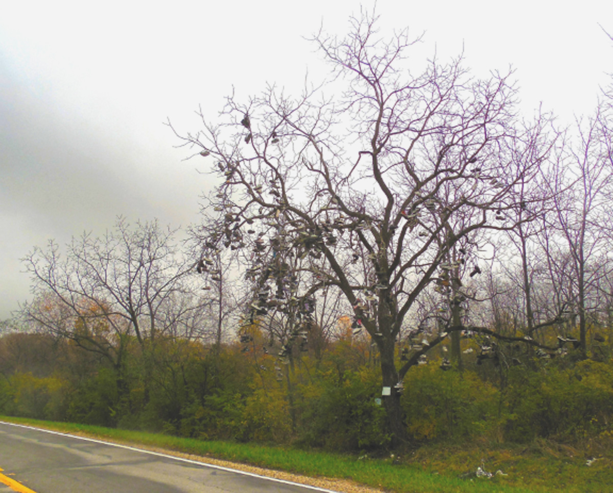 Shoe Tree, McHenry Co IL