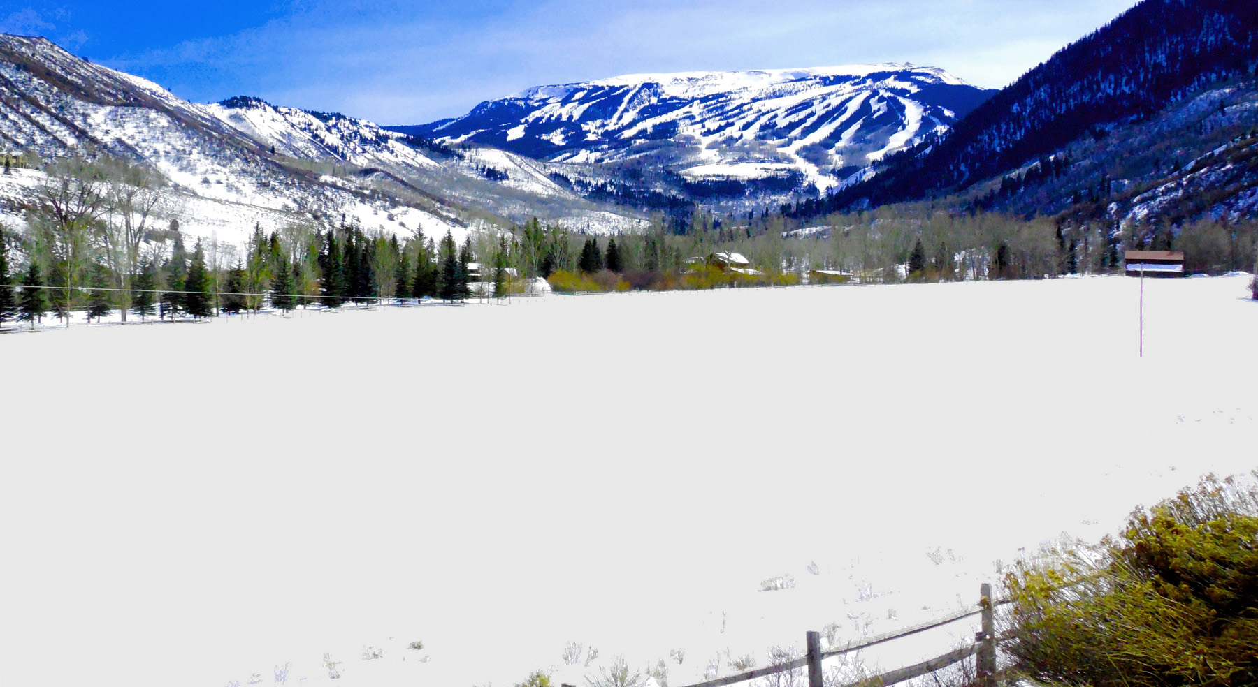 Snowmass Ski Area