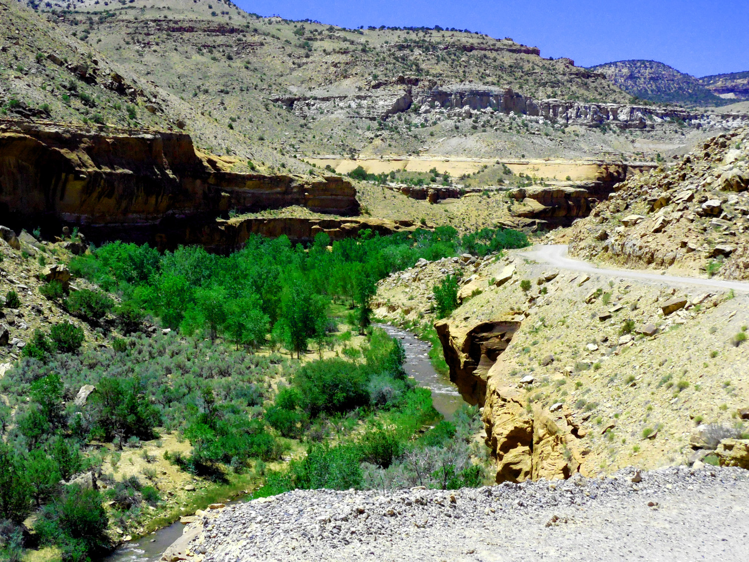 Escalante Creek