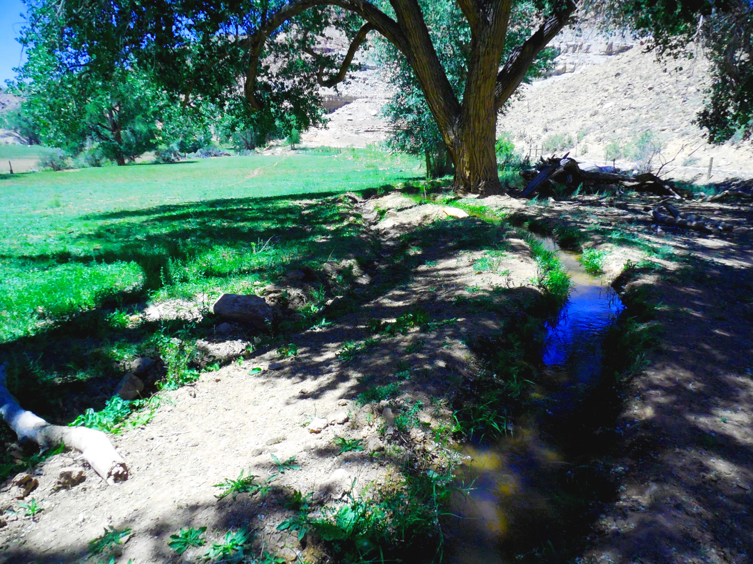 Irrigation Ditch