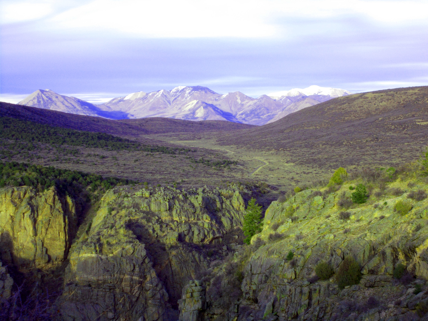 Road To The North Rim