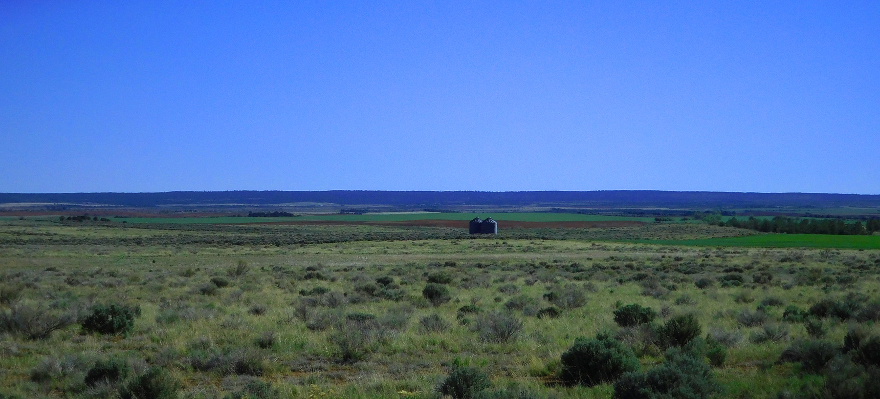 The Great Sage Plain