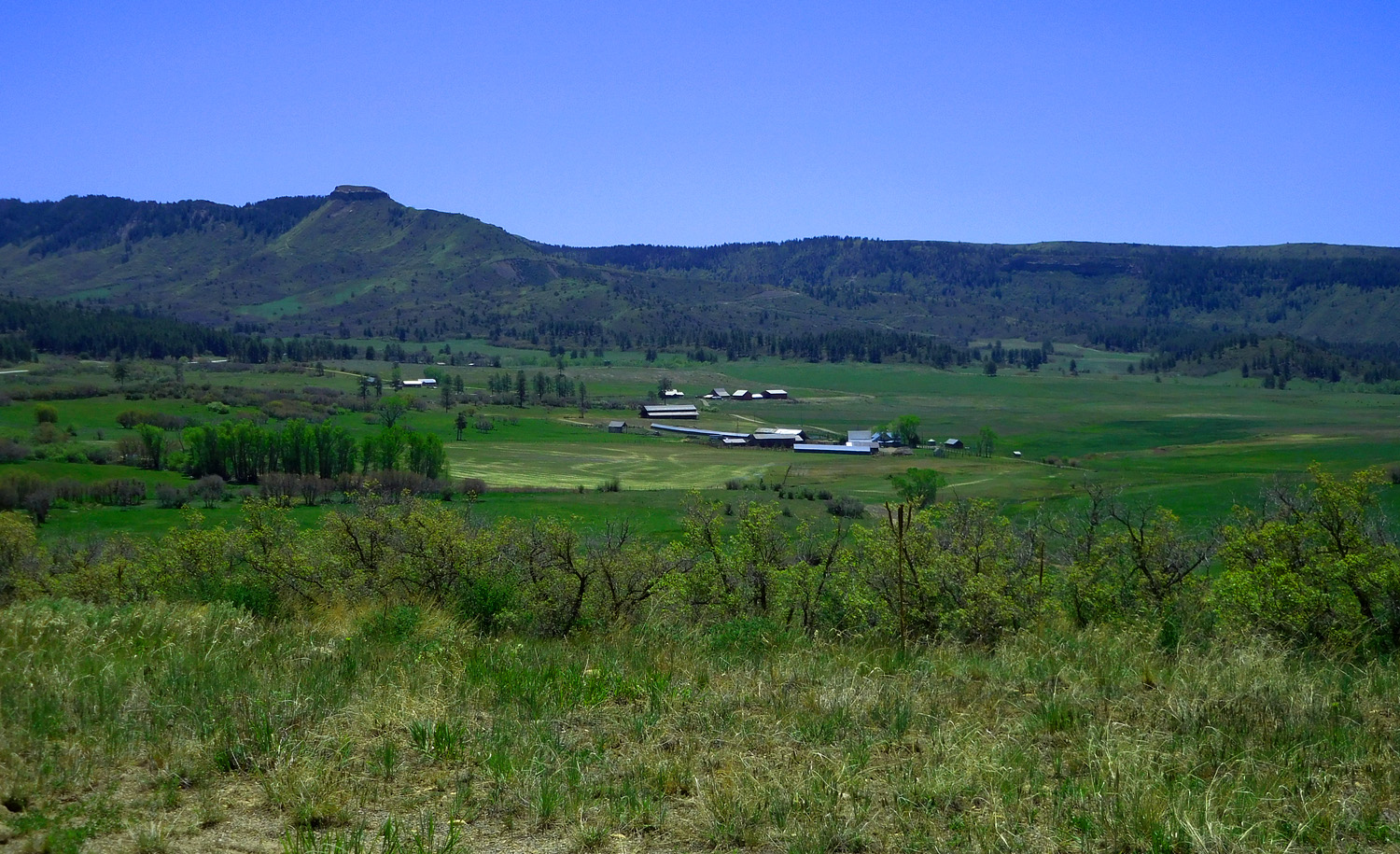 Mancos Valley