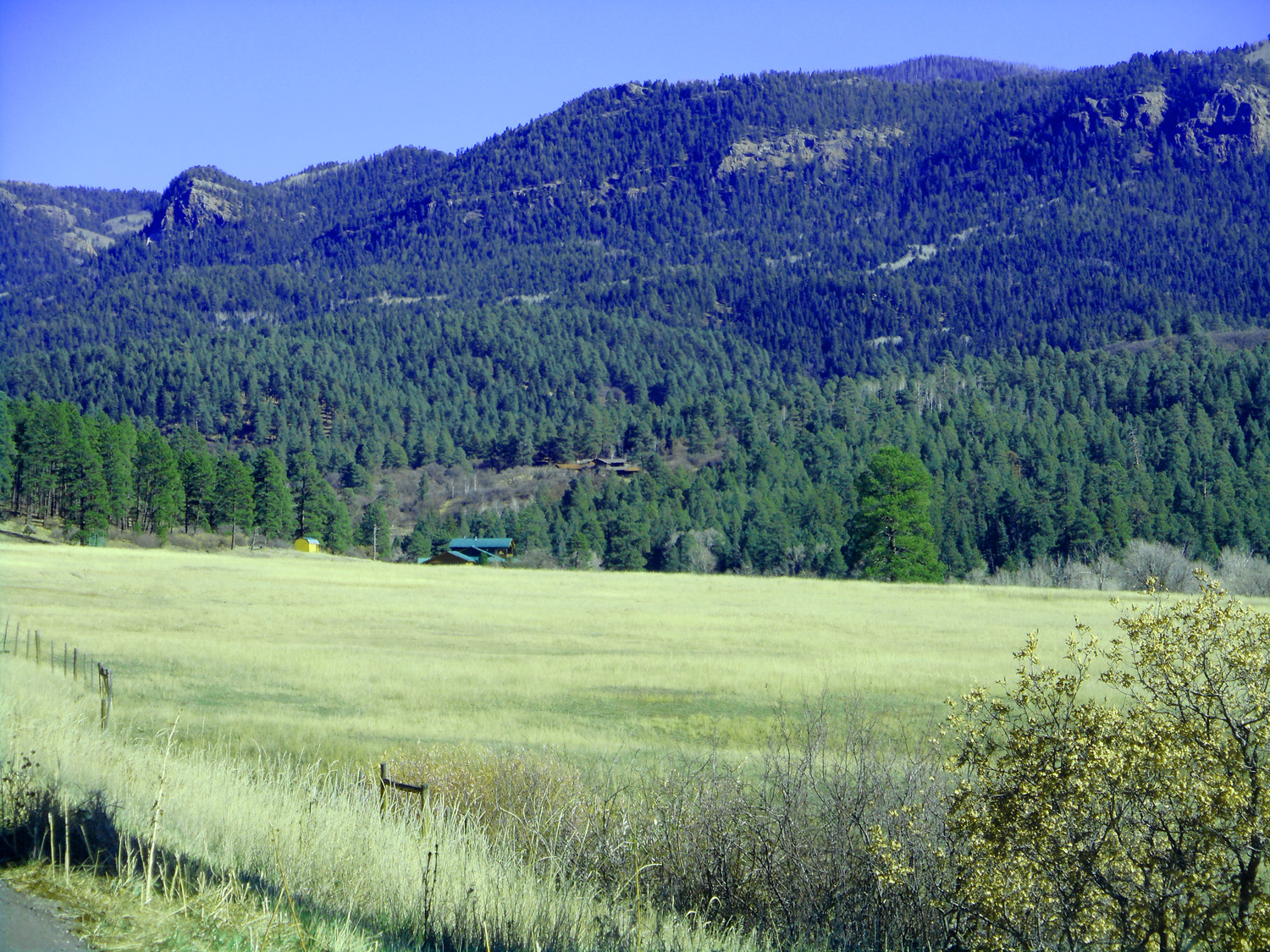 Mesa Verde Formation
