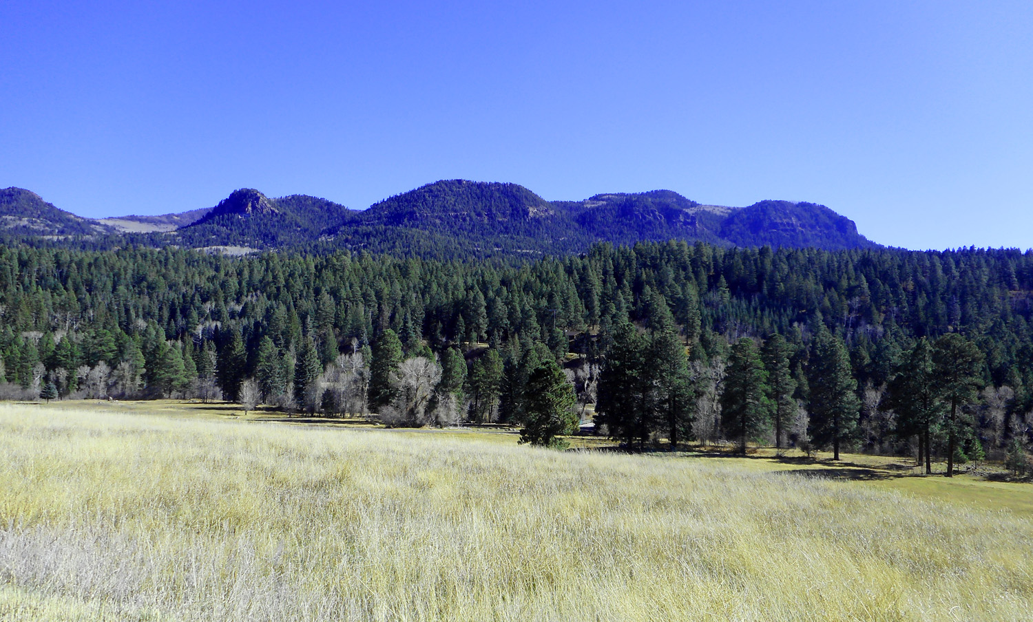 Mesa Verde Mountains